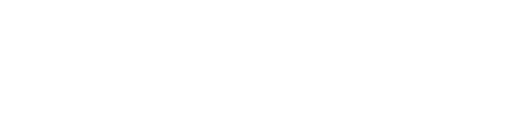 two brothers property maintenance