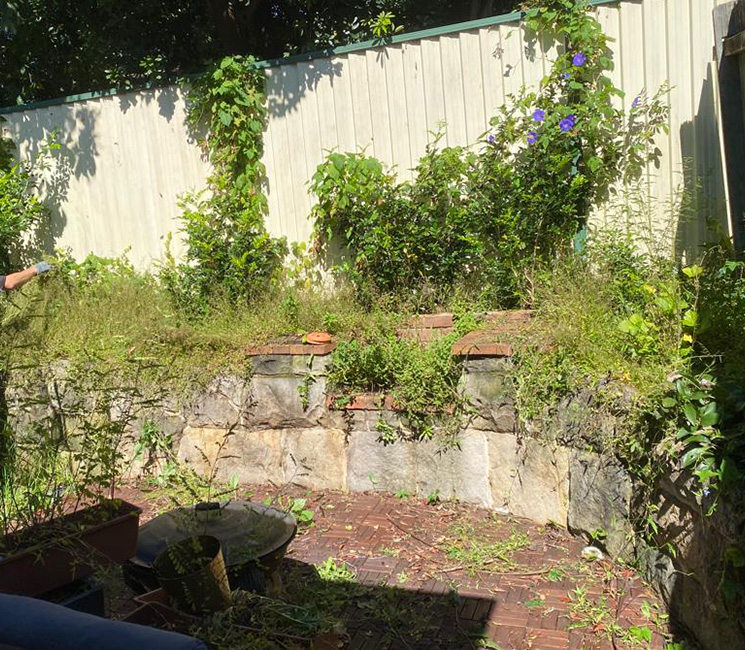 two brothers property maintenance lawn garden maintenance property works house end of lease cleaning commercial resifential property maintenance fully insured 2